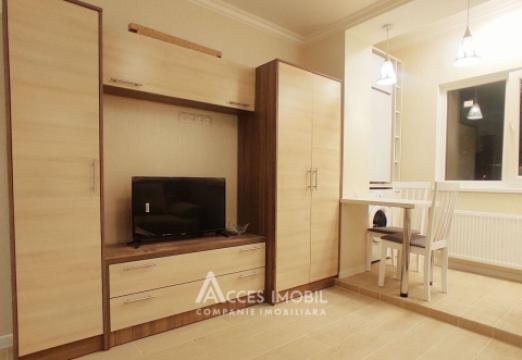 Ботаника, ул. Белград, комнатa. Евроремонт! Середина дома!: 3