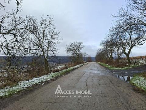 Teren pentru construcții 6 ari! Tohatin, str. Miorița!: 2