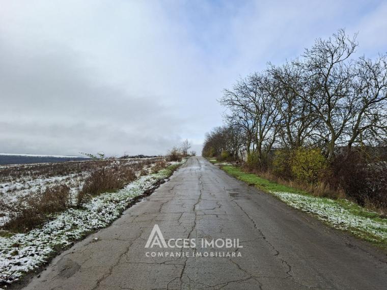 Teren pentru construcții 7 ari! Tohatin, str. Haiducilor!: 4