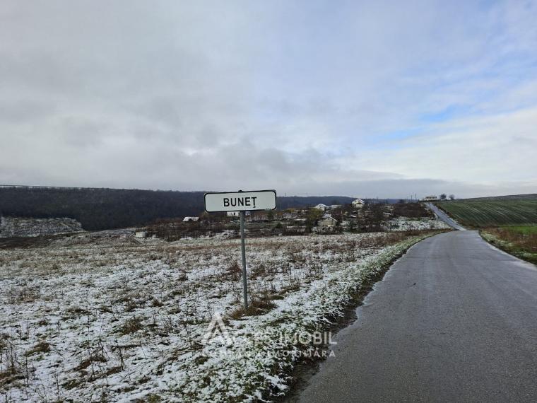 Teren pomicol 17 ari! Buneț, str. Pădurilor!: 0