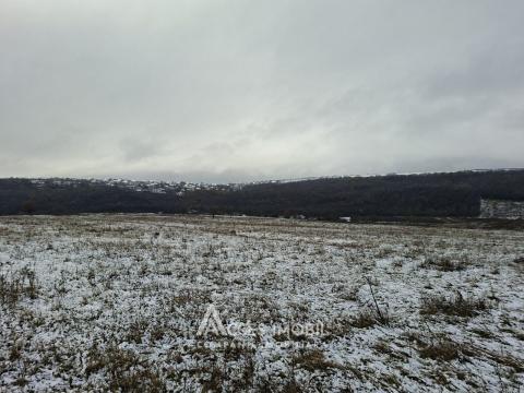 Teren pomicol 17 ari! Buneț, str. Pădurilor!: 1