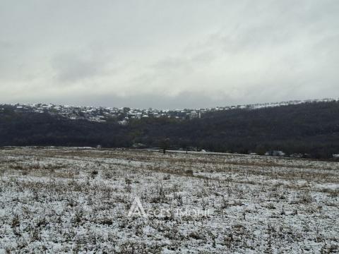 Teren pomicol 17 ari! Buneț, str. Pădurilor!: 2