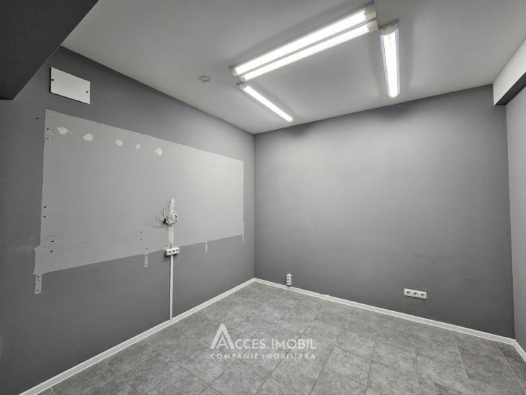 Chirie! Spațiu Comercial 242m2! Centru, str. 31 August 1989.: 6