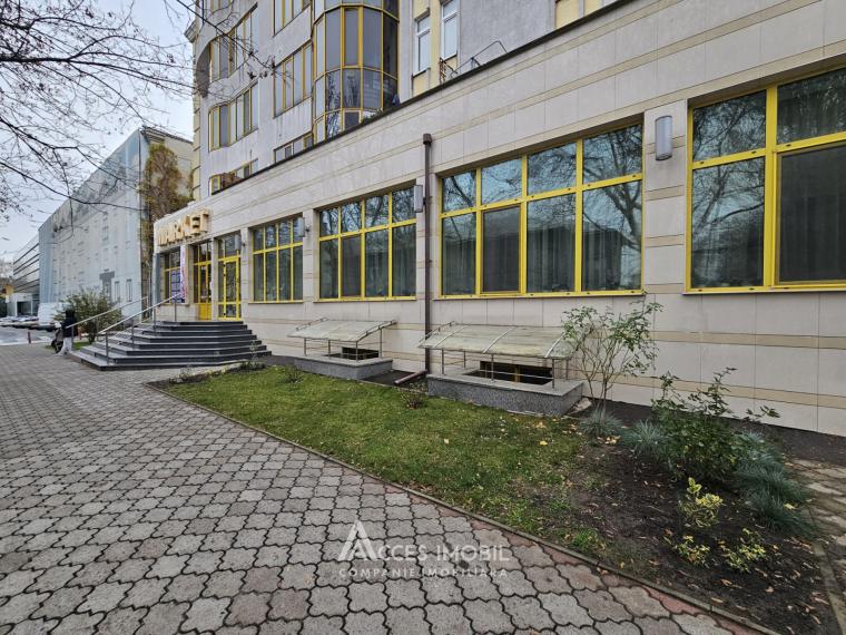 Chirie! Spațiu Comercial 242m2! Centru, str. 31 August 1989.: 10