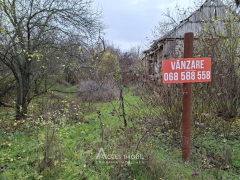 Teren pentru construcție, 24 ari! Ialoveni, Puhoi!: 5