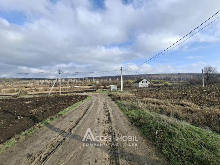 Teren pentru construcții 7 ari! Zăicana, str. Ștefan cel Mare!: 1