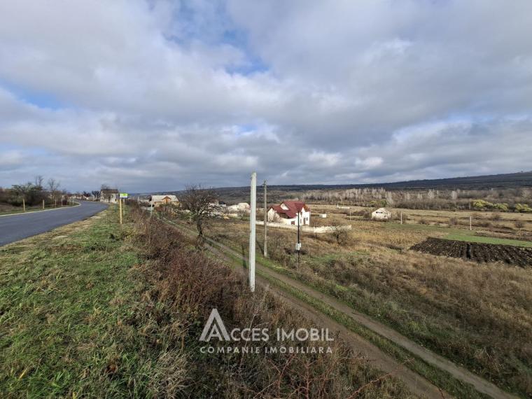 Teren pentru construcții 7 ari! Zăicana, str. Ștefan cel Mare!: 3