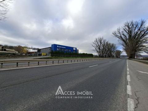 Сельскохозяйственный земельный участок 17 сот, Магдачешты!: 1