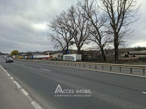 Сельскохозяйственный земельный участок 17 сот, Магдачешты!: 3