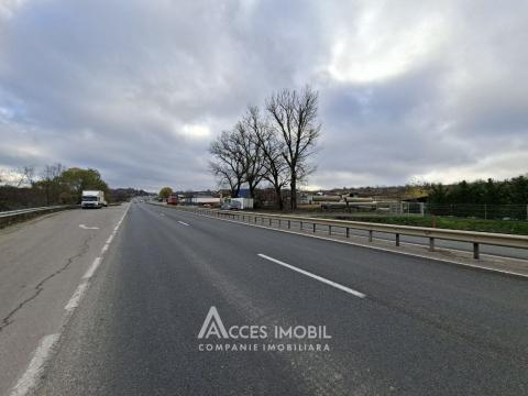 Сельскохозяйственный земельный участок 17 сот, Магдачешты!: 4