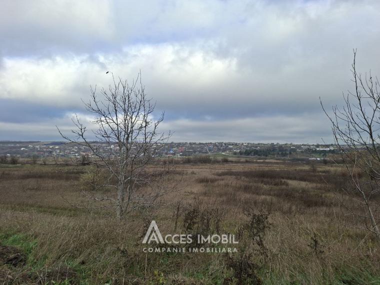 Сельскохозяйственный земельный участок 17 сот, Магдачешты!: 9