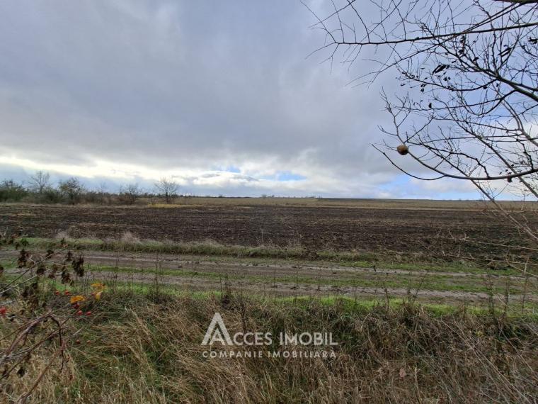 Teren 22 ari! Peresecina. Drum național M2!: 1