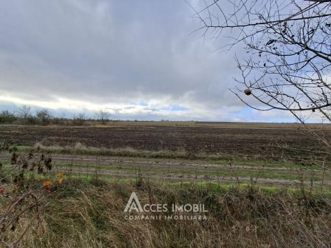 Teren 22 ari! Peresecina. Drum național M2!: 1