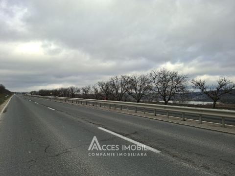 Teren 22 ari! Peresecina. Drum național M2!: 3
