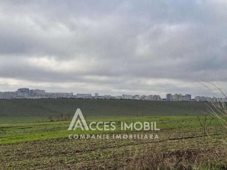 Teren Agricol 10 ari! Tohatin, I.P. Asociatul!: 0