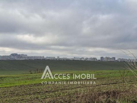 Terenuri de vânzare în Chișinău: Tohatin, I.P. Asociatul