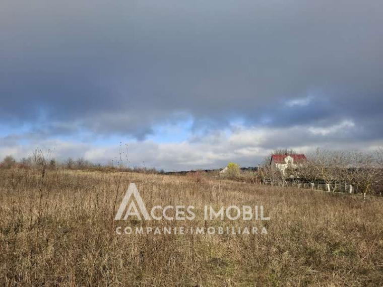 Teren Agricol 10 ari! Tohatin, I.P. Asociatul!: 1