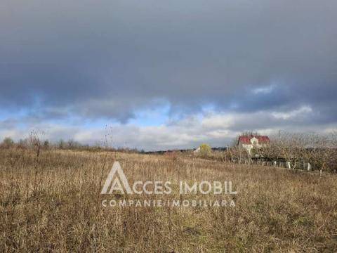 Teren Agricol 10 ari! Tohatin, I.P. Asociatul!: 1