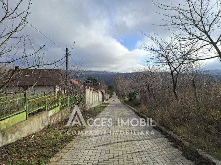 Teren Agricol 10 ari! Tohatin, I.P. Asociatul!: 2