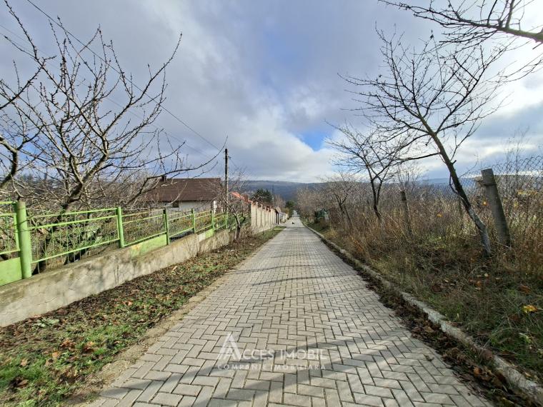 Teren Agricol 10 ari! Tohatin, I.P. Asociatul!: 3