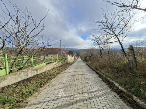 Teren Agricol 10 ari! Tohatin, I.P. Asociatul!: 3