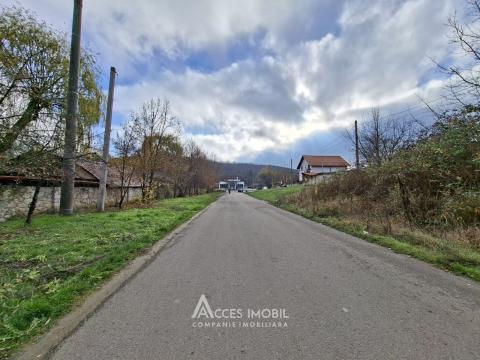 Teren Agricol 10 ari! Tohatin, I.P. Asociatul!: 4