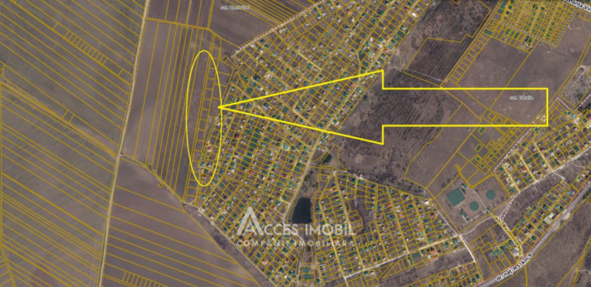 Teren Agricol 10 ari! Tohatin, I.P. Asociatul!: 6