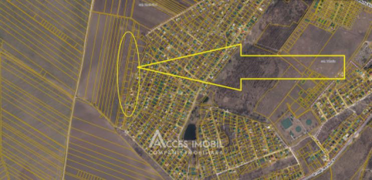 Teren Agricol 10 ari! Tohatin, I.P. Asociatul!: 6