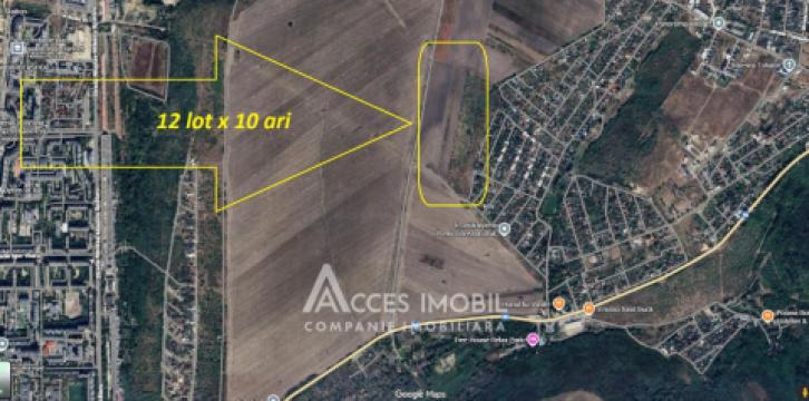 Teren Agricol 10 ari! Tohatin, I.P. Asociatul!: 5