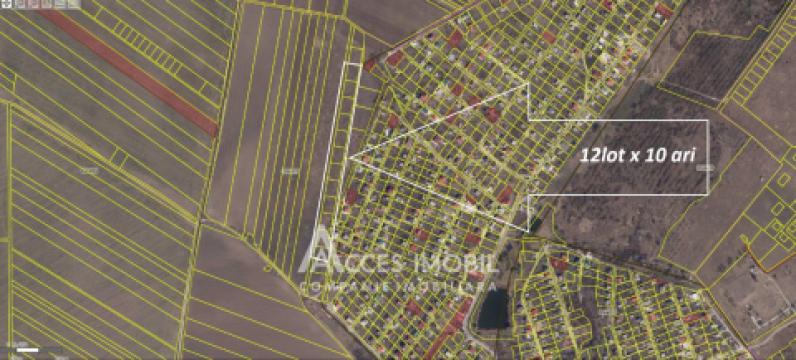 Teren Agricol 10 ari! Tohatin, I.P. Asociatul!: 8