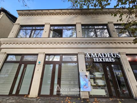 Spații comerciale de vânzare în Chișinău: Centru, str. 31 August 1989