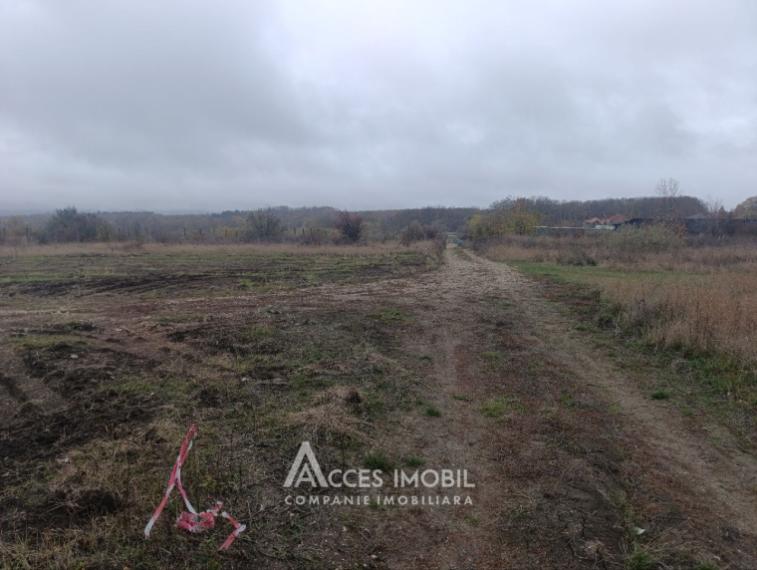 Teren pentru construcții 12 ari! str. Grigore Vieru, Durlești!: 2
