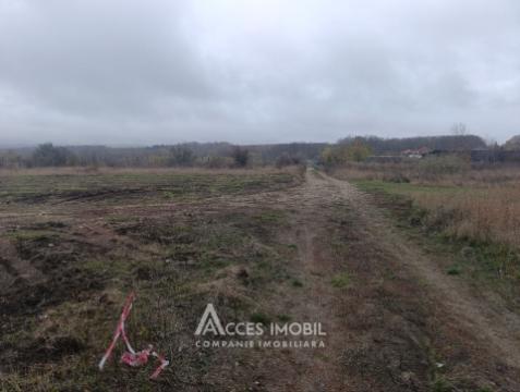 Teren pentru construcții 12 ari! str. Grigore Vieru, Durlești!: 2