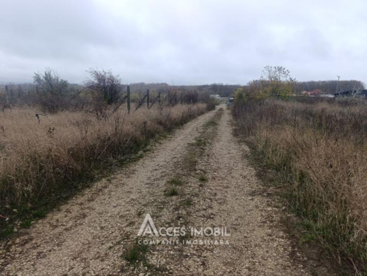 Teren pentru construcții 12 ari! str. Grigore Vieru, Durlești!: 3