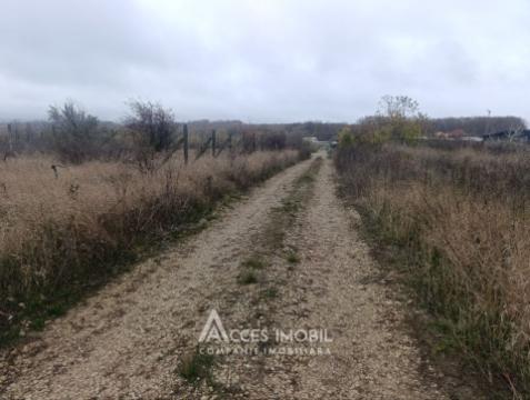 Teren pentru construcții 12 ari! str. Grigore Vieru, Durlești!: 3