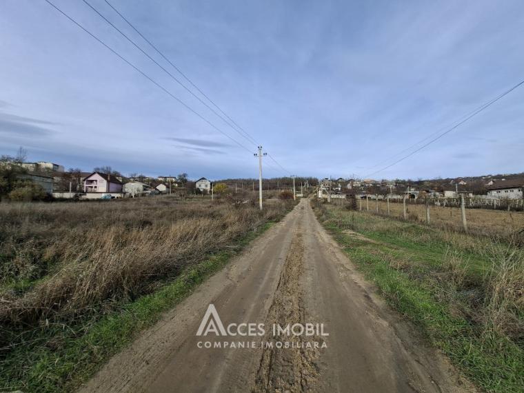 Teren pentru construcții 6 ari! str.Salcâmilor, sat. Merenii Noi!: 3