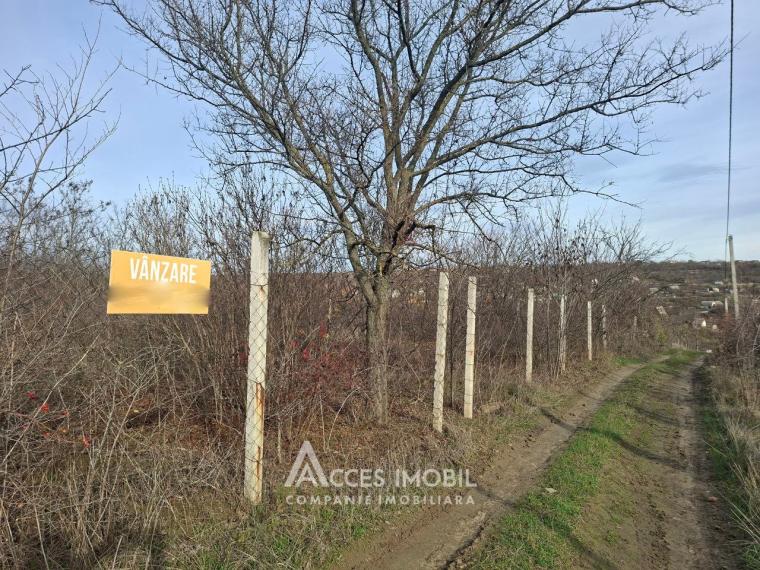 Teren pentru construcții 6 ari! str.Salcâmilor, sat. Merenii Noi!: 4