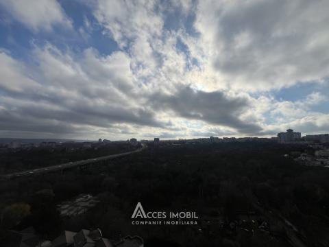 Eldorado Terra! Centru, str. Nicolae Testemițanu, 2 camere + living. Euroreparație!: 9