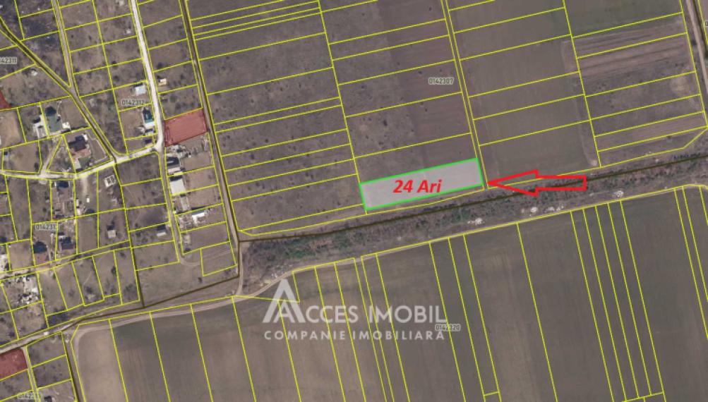 Lot de teren agricol 24 ari! Bubuieci!: 1