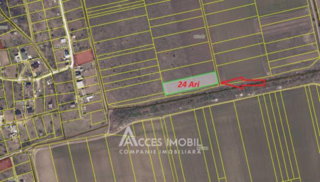 Lot de teren agricol 24 ari! Bubuieci!: 1