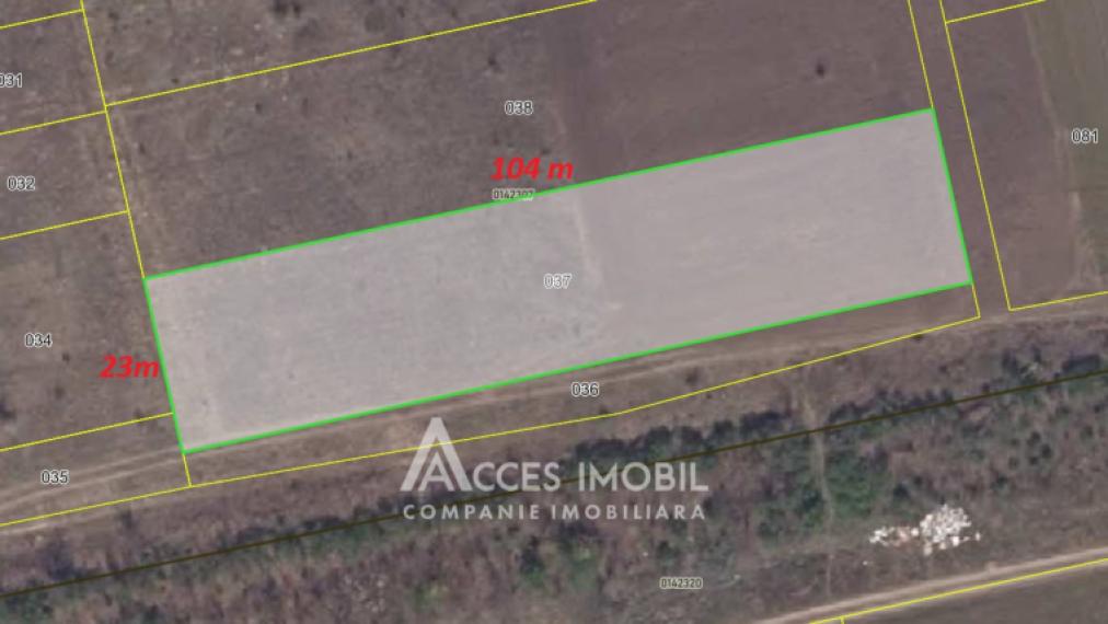 Lot de teren agricol 24 ari! Bubuieci!: 2