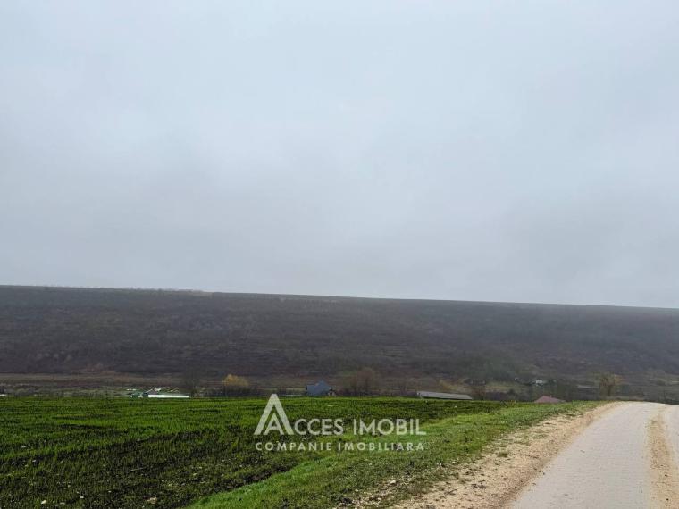 Casă! Dolinnoe, str. Izvorului, 90m2 + 23 ari de teren adiacent!: 4