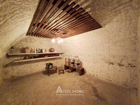 Casă! Cricova, str. Barbu Lăutaru, 100m2 + 6 ari. Euroreparație!: 13