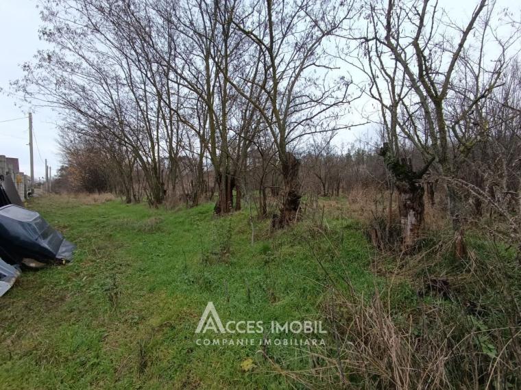 Teren pentru construcții! Ialoveni, Dănceni, 16 ari!: 2