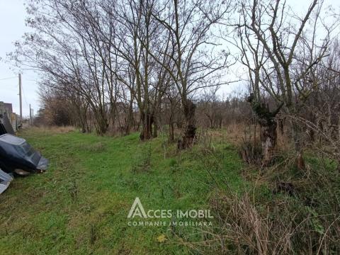 Teren pentru construcții! Ialoveni, Dănceni, 16 ari!: 2