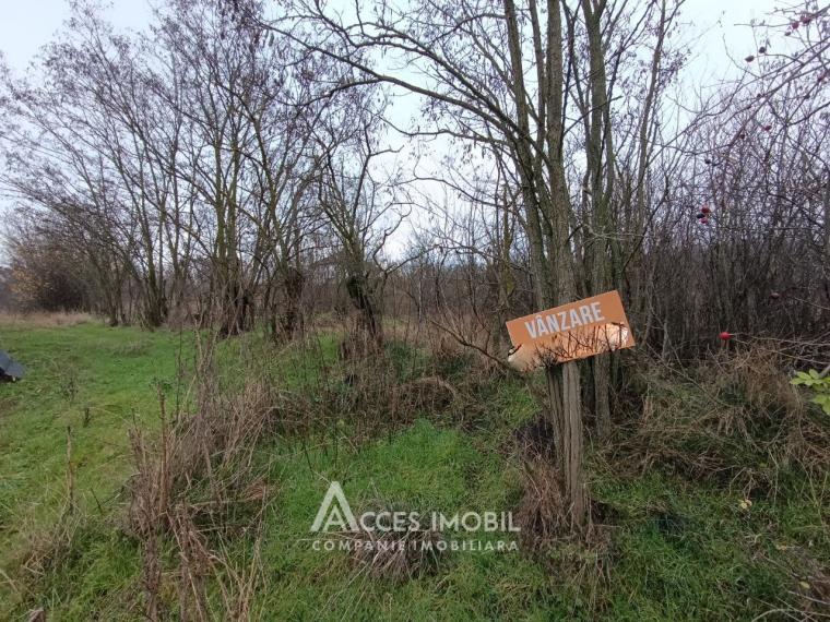 Teren pentru construcții! Ialoveni, Dănceni, 16 ari!: 3