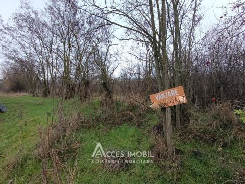 Teren pentru construcții! Ialoveni, Dănceni, 16 ari!: 3