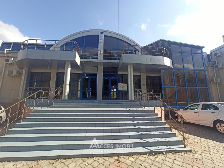 Chirie! Centru! Spațiu Comercial, 130m2, str. Albișoara! Euroreparație!: 0