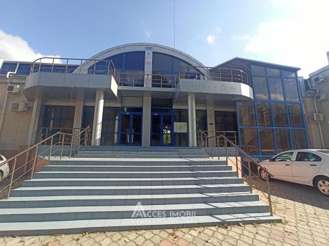 Chirie spații comerciale în Chișinău: Centru,str. Albișoara