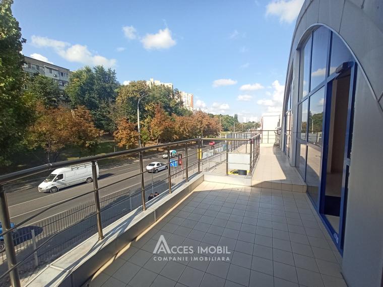 Chirie! Centru! Spațiu Comercial, 130m2, str. Albișoara! Euroreparație!: 5